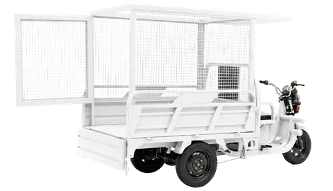 Triciclo de Carga Elétrico